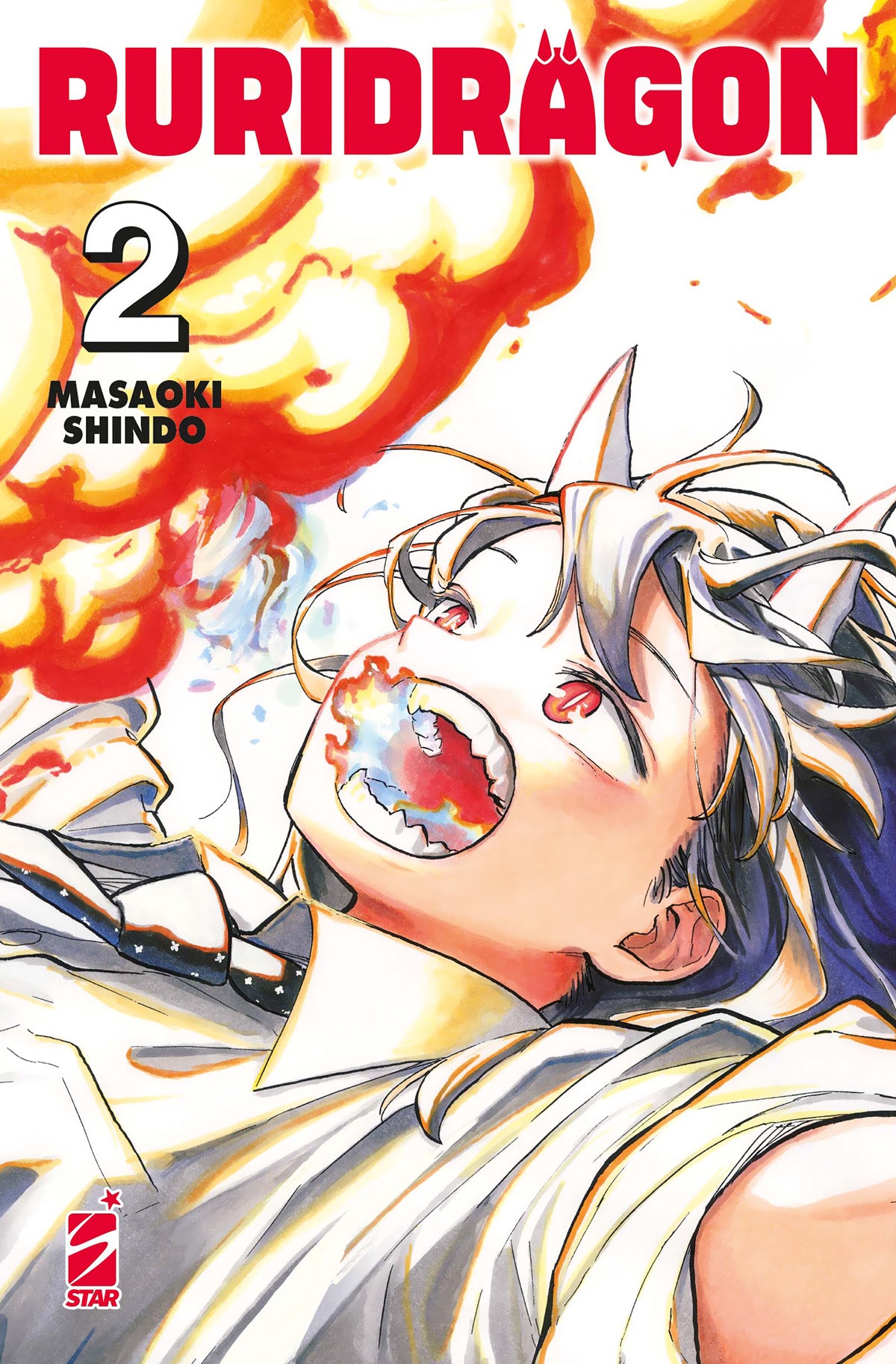 RuriDragon - Vol. 02 - Limited Edition image 0