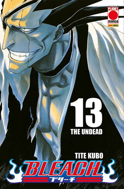 Bleach - Vol. 13 image 0