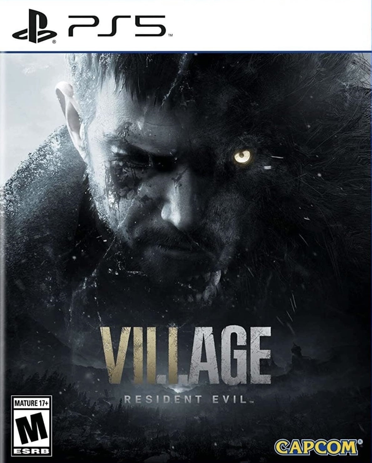 Resident Evil Village image 0