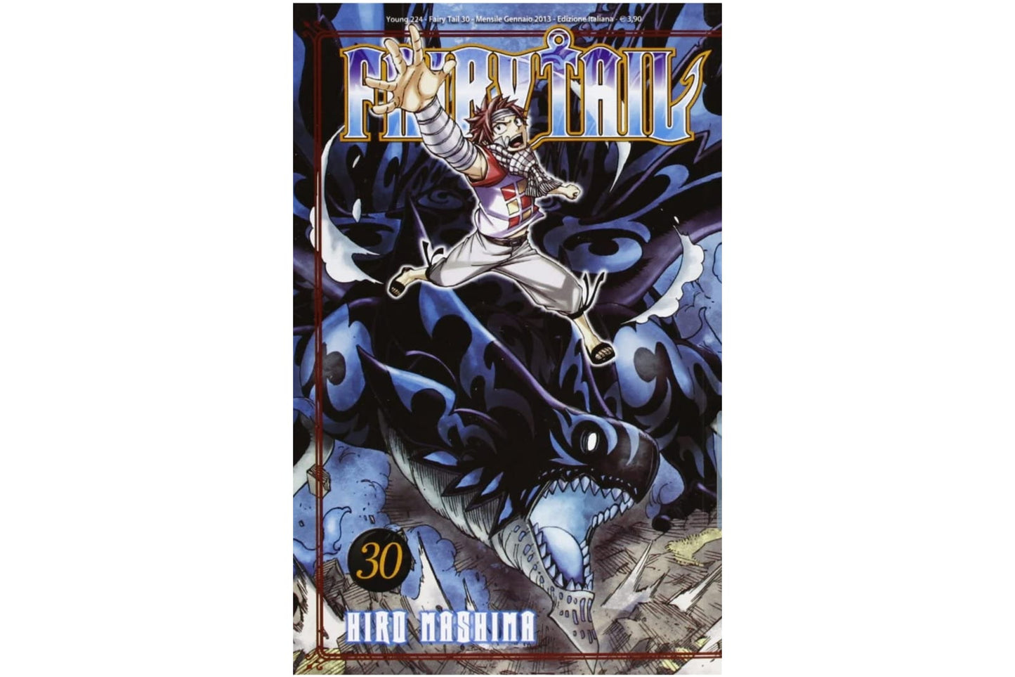 Fairy Tail Vol. 30 image 1