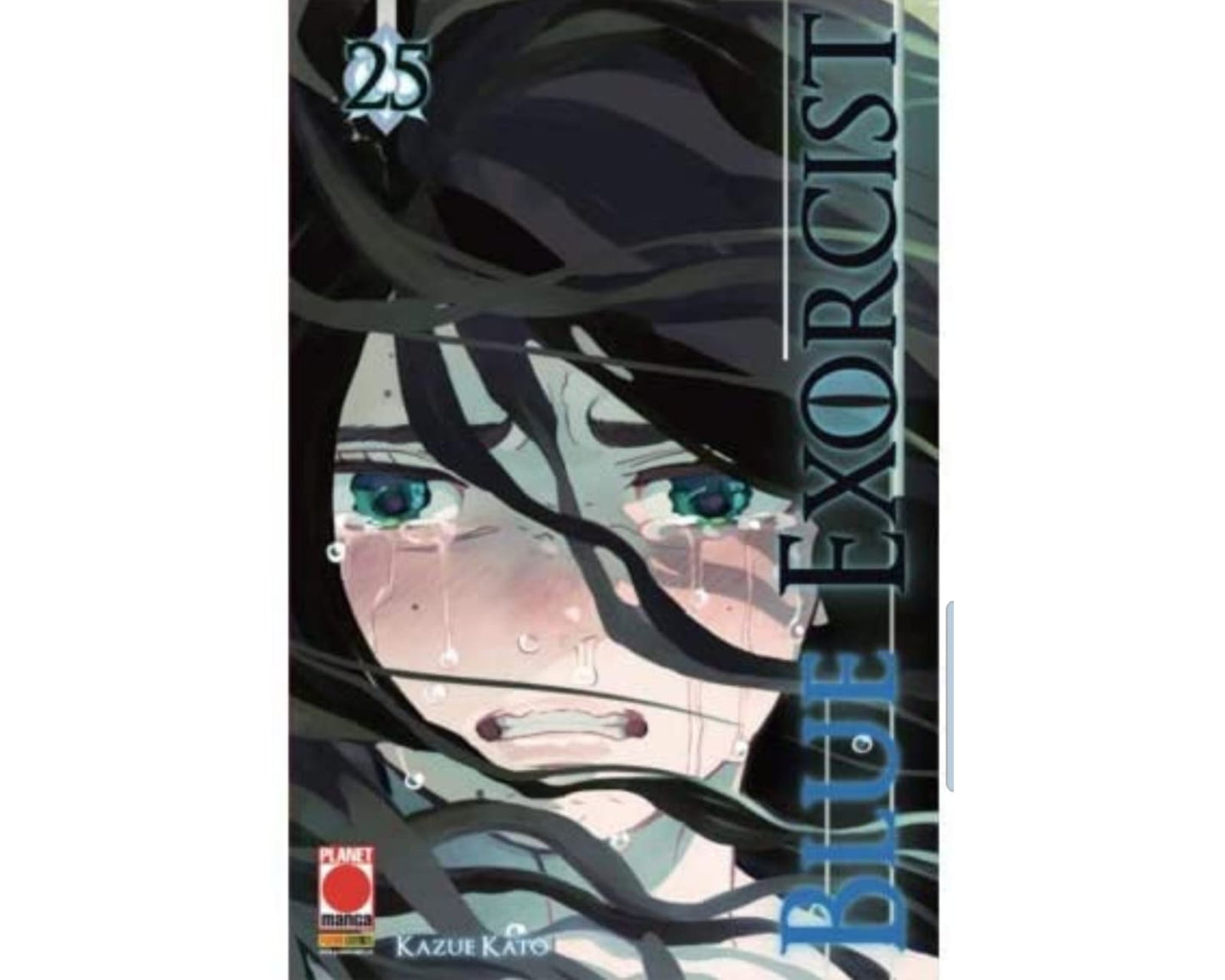 Blue Exorcist Vol. 25 image 2