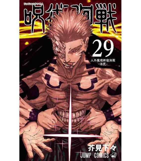Jujutsu Kaisen - Sorcery Fight - Vol. 29 image 0