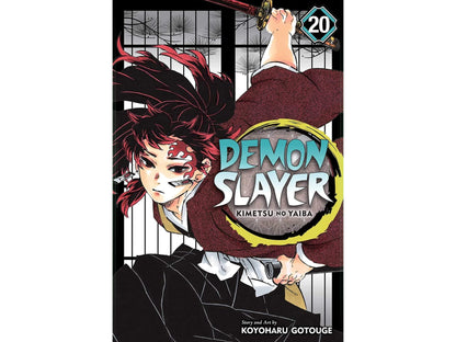 Demon Slayer - Vol. 20 image 1