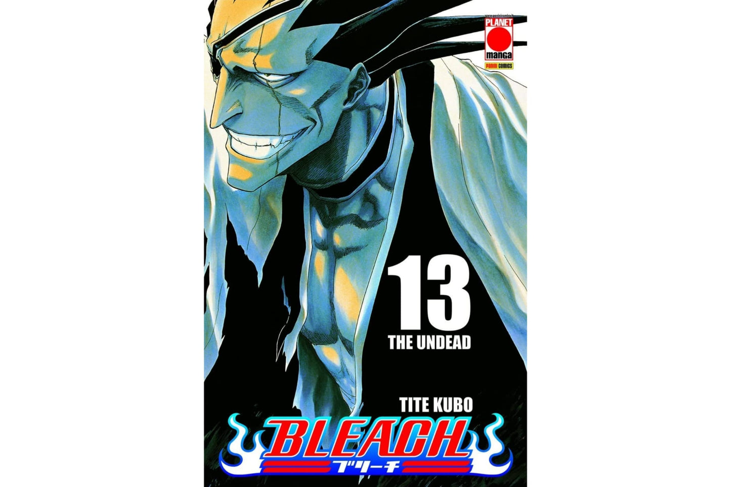 Bleach - Vol. 13 image 1