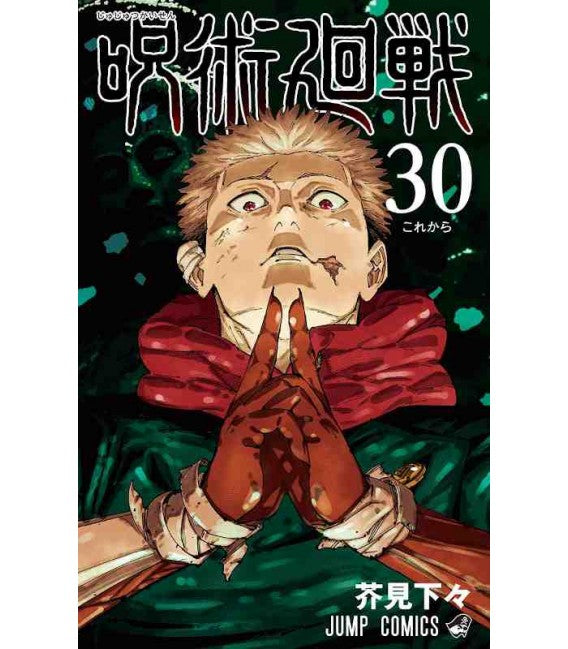 Jujutsu Kaisen - Sorcery Fight - Vol. 30 image 0