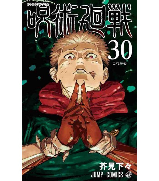 Jujutsu Kaisen - Sorcery Fight - Vol. 30 image 0