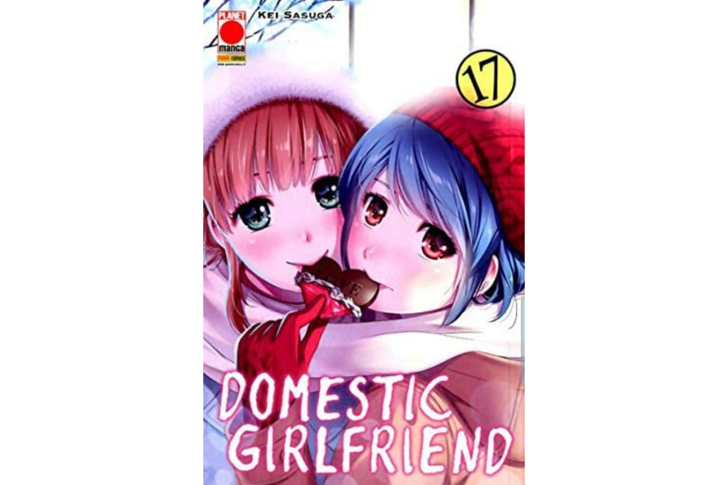 Domestic Girlfriend Vol. 17 image 1
