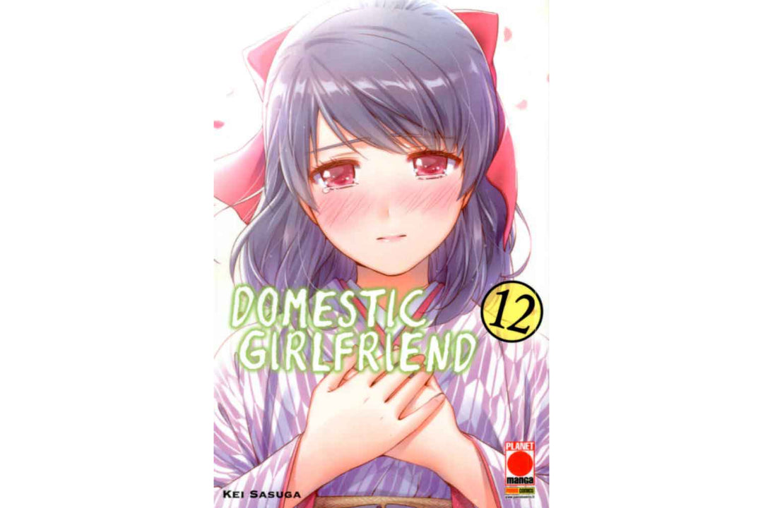 Domestic Girlfriend Vol. 12 image 2