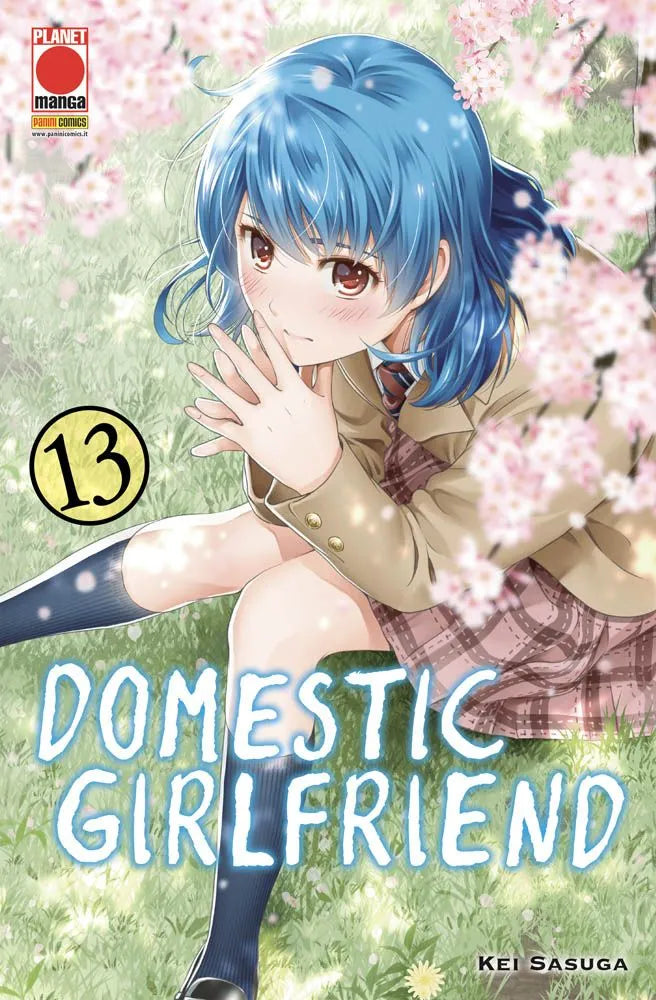 Domestic Girlfriend Vol. 13 image 0