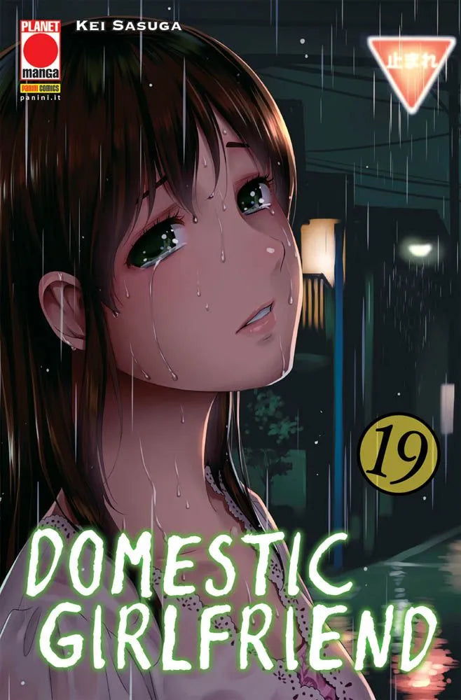 Domestic Girlfriend Vol. 19 image 0