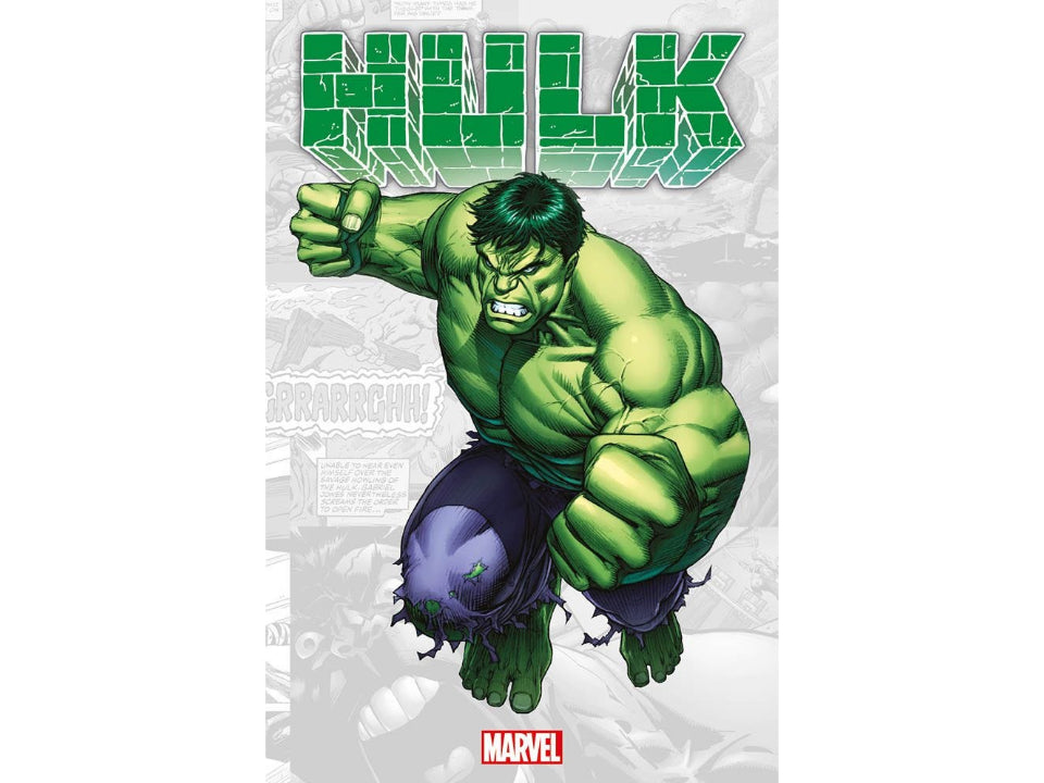 Marvel-Verse: Hulk image 1