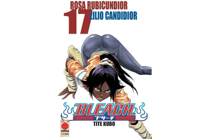Bleach - Vol. 17 image 1