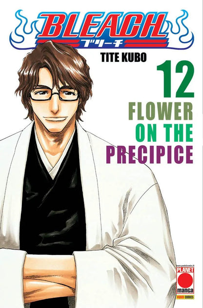 Bleach - Vol. 12 image 0