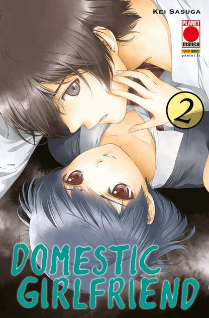 Domestic Girlfriend Vol. 02 image 0
