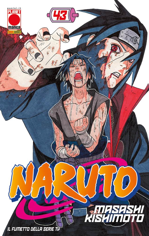 Naruto - Vol. 43