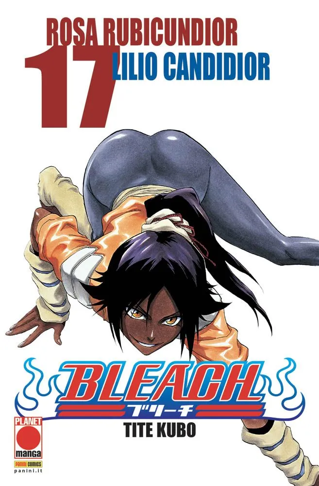 Bleach - Vol. 17