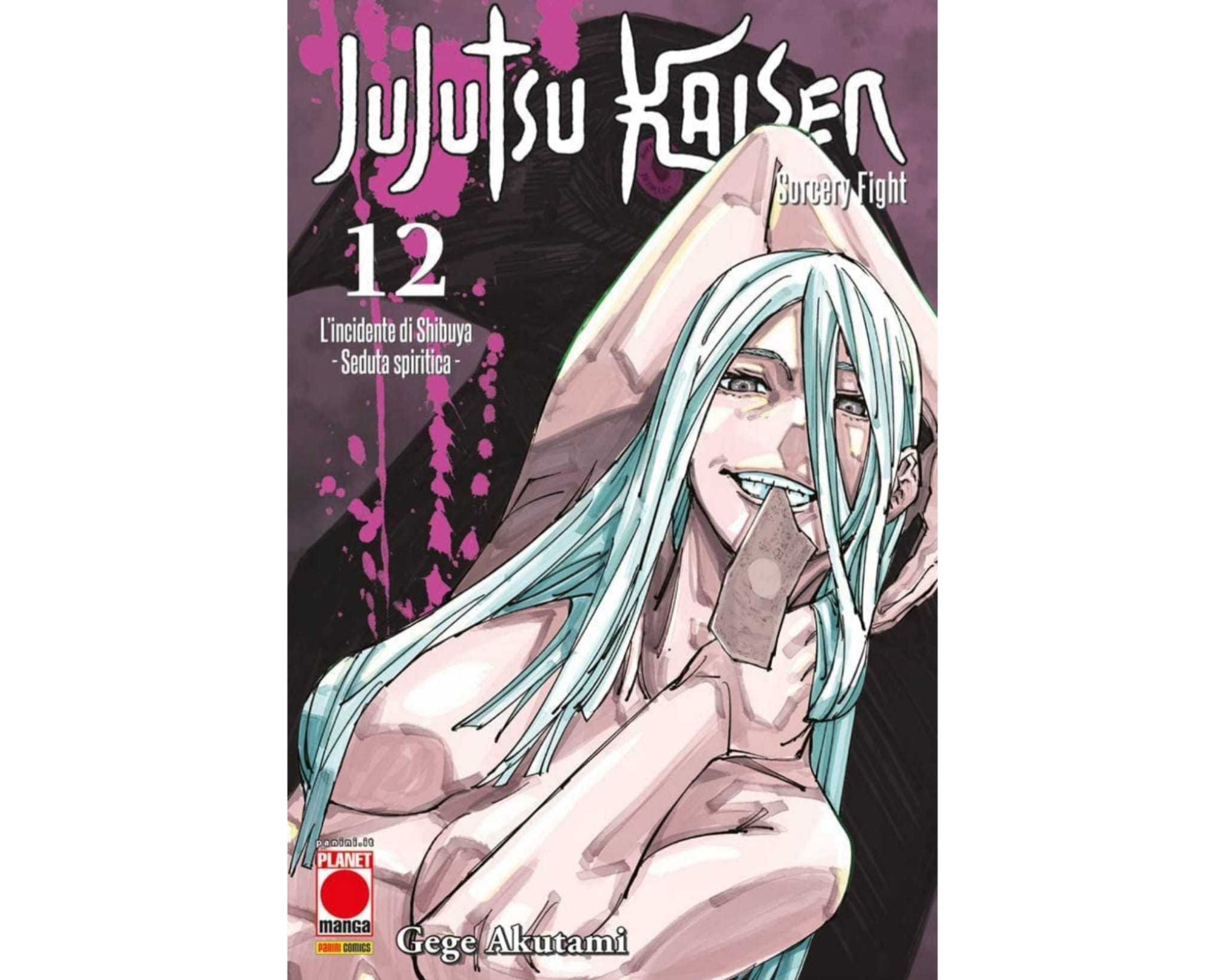 Jujutsu Kaisen - Sorcery Fight - Vol. 11 - immagine 2