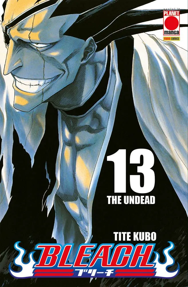 Bleach - Vol. 13
