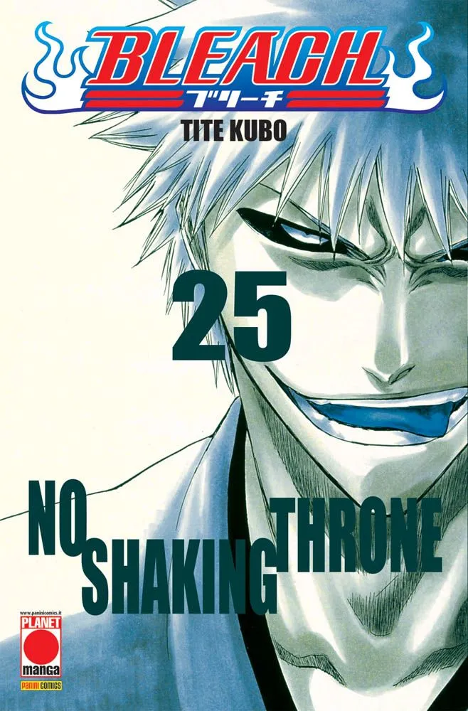 Bleach - Vol. 25